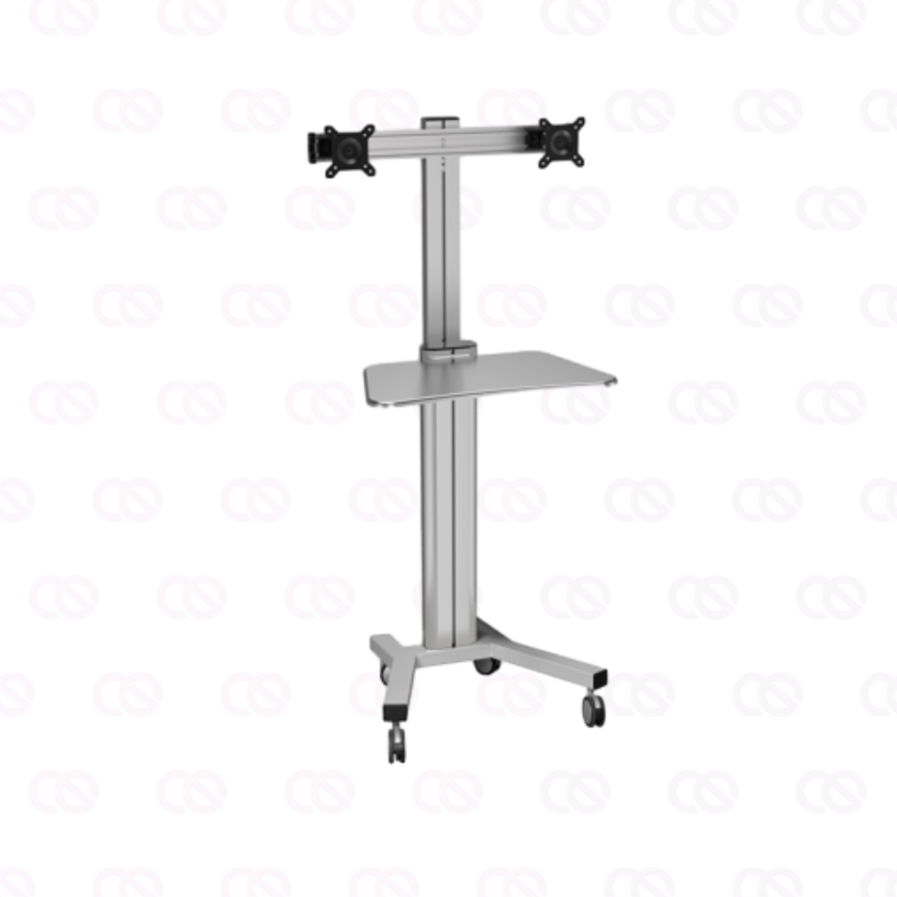 ErgoFount  KFT 1601/2 Silver