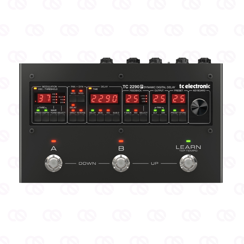 TC ELECTRONIC 2290 P DYNAMIC DIGITAL DELAY