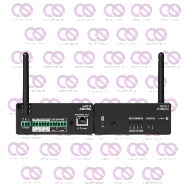 AUDAC NIO222